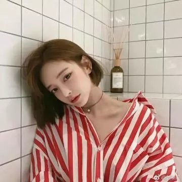完美房子